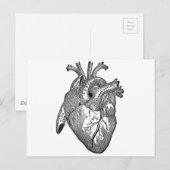 Vintages anatomisches Herz Postkarte (Vorne/Hinten)