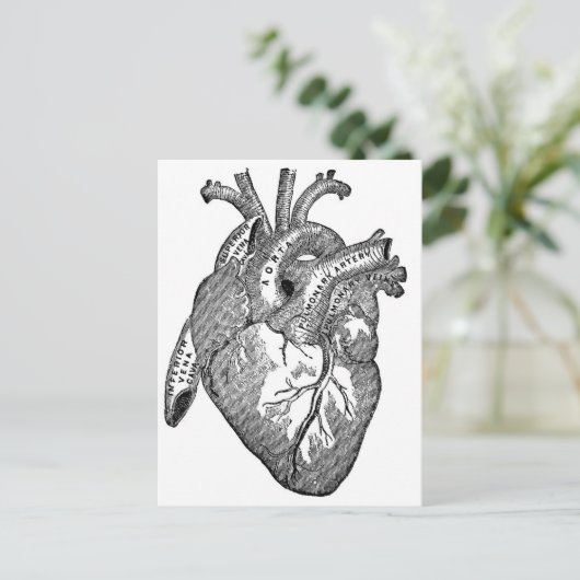 Vintages anatomisches Herz Postkarte (Stehend Vorderseite)