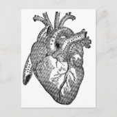 Vintages anatomisches Herz Postkarte (Vorderseite)