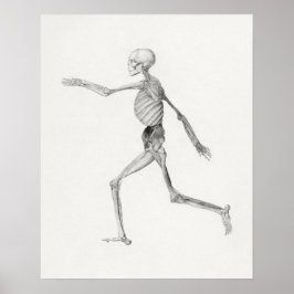 Vintages anatomisches Illustrationspaket Poster