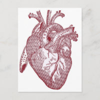 Vintages anatomisches Rotes Herz