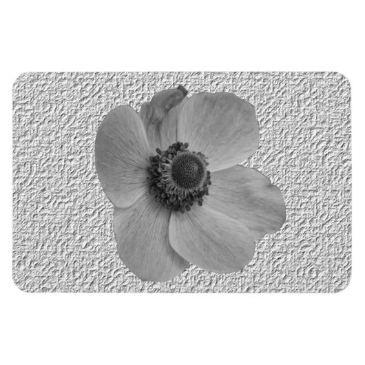 Vintages Anemone Premium Magnet (Horizontal)