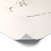 Vintages antikes medizinisches Skelett Anatomie Di Poster (Ecke)