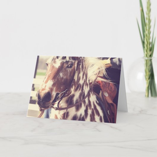 Vintages Appaloosa-Show-Pferd, Geburtstag Karte (Vorderseite)