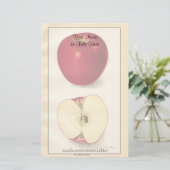 Vintages Apple-Papier Briefpapier (Stehend Vorderseite)