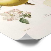 Vintages Apple-Poster Poster (Ecke)