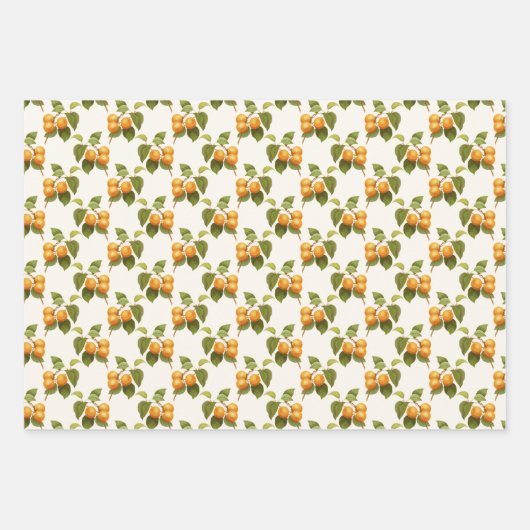 Vintages Apricot-Fruchtthemenmuster Geschenkpapier Set (Vorderseite 2)