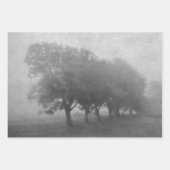 Vintages Aquamarines Landschaftsdekor Geschenkpapier Set (Vorderseite 2)