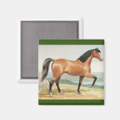 Vintages Arabian Bay Horn Magnet (Vorderseite/Rückseite)