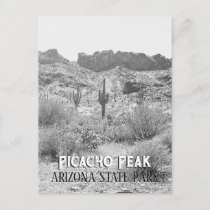 Vintages Arizona Saguaro Cactus Picacho Postkarte