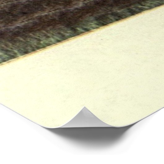 Vintages Armadillo-Gemälde (1909) Poster (Ecke)