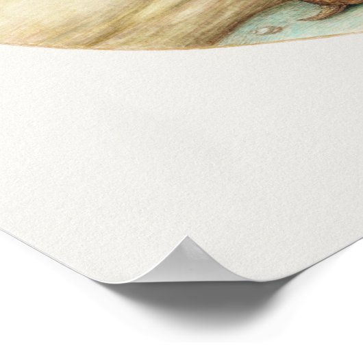 Vintages Armadillo Illustrations-Poster Poster (Ecke)