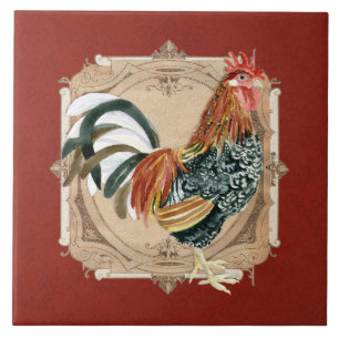 Vintages Art-französisches Land-rustikaler Fliese