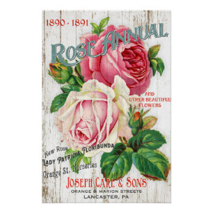 Vintages Art-Rosen-Samen-Katalog-Plakat Poster