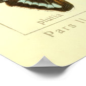 Vintages Artendiagramm Poster (Ecke)