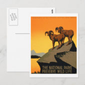 Vintages Artenschutzposter Postkarte (Vorne/Hinten)