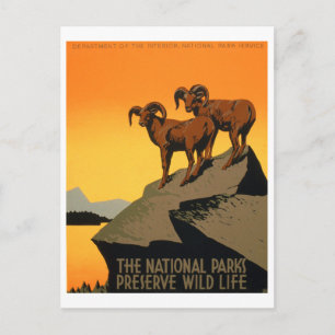 Vintages Artenschutzposter Postkarte