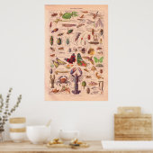 Vintages Arthopods-Poster 1920 Poster (Küche)