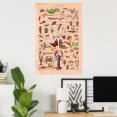 Vintages Arthopods-Poster 1920 Poster (Heimbüro)