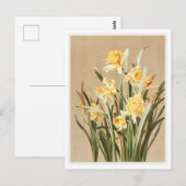 Vintages Arzneimittel Postkarte (Vorne/Hinten)