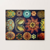 Vintages Ascidiae-Puzzle von Ernst Haeckel Puzzle (Horizontal)