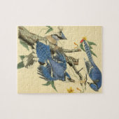 Vintages Audubon Blue Jay Bird Malgeschenk Puzzle (Horizontal)