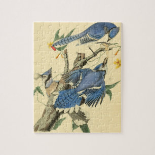 Vintages Audubon Blue Jay Bird Malgeschenk Puzzle