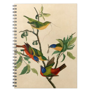 Vintages Audubon-Gemälde für Vogelgezwitscher Notizblock