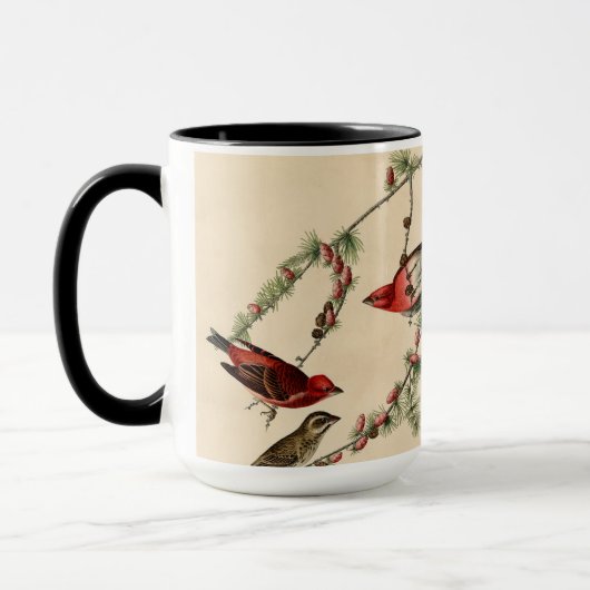 Vintages Audubon Lila Finch Bird Painting Gift Tasse (Links)