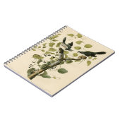 Vintages Audubon Loggerhead Shrike Painting-Gesche Notizblock (Linke Seite)