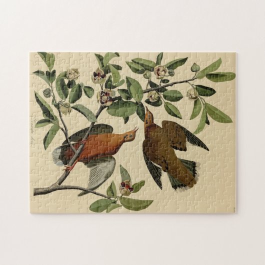 Vintages Audubon-Märchengeschenk Puzzle (Horizontal)