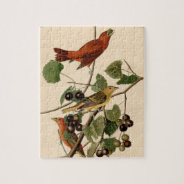 Vintages Audubon Summer Tanager Bird Painting Gesc Puzzle