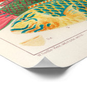 Vintages Australien Great Barrier Reef Fishing Pos Poster (Ecke)