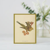 Vintages australisches Foto Postkarte (Stehend Vorderseite)