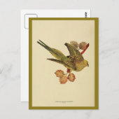 Vintages australisches Foto Postkarte (Vorne/Hinten)