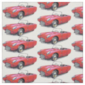 Vintages Autogewebe Berkeleys T60 Stoff (Muster)