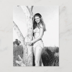 Vintages B&W Foto Florida Bikini Postkarte
