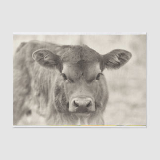 Vintages Baby Cow Calder Tissue Paper Seidenpapier