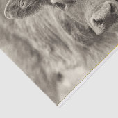 Vintages Baby Cow Calder Tissue Paper Seidenpapier (Ausschnitt)