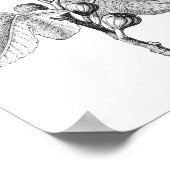 Vintages Bild Botanisches Illustrationspaket Poster (Ecke)