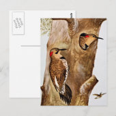 Vintages Bild von Vögeln spiegeln Postkarte (Vorne/Hinten)