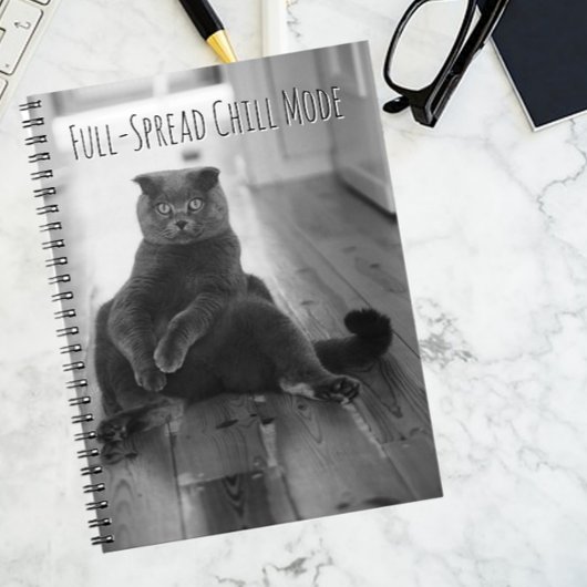 Vintages Black Cat Chilling Notebook Notizblock