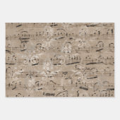 Vintages Blatt-Geschenkpapier Geschenkpapier Set (Vorderseite 2)