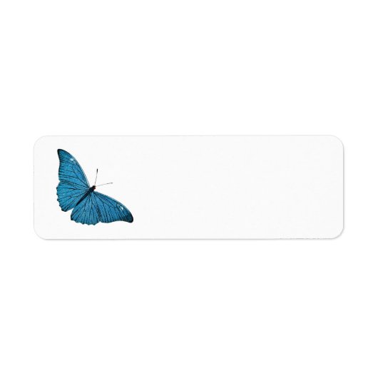 Vintages Blauer Morpho Schmetterling (Vorne)