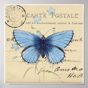 Vintages blaues Schmetterling Französische Postkar Poster
