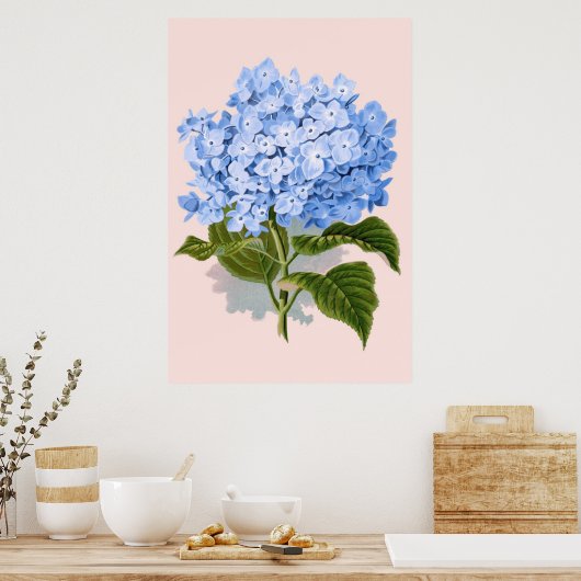 Vintages Blaulauchblauer Hydrangea Poster (Küche)