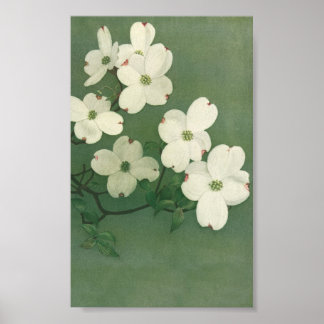 Vintages Blossom Poster