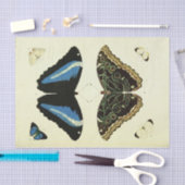 Vintages Blue Butterfly Ephemera Dekoupage Script Seidenpapier (Handwerk)