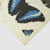 Vintages Blue Butterfly Ephemera Dekoupage Script Seidenpapier (Ausschnitt)