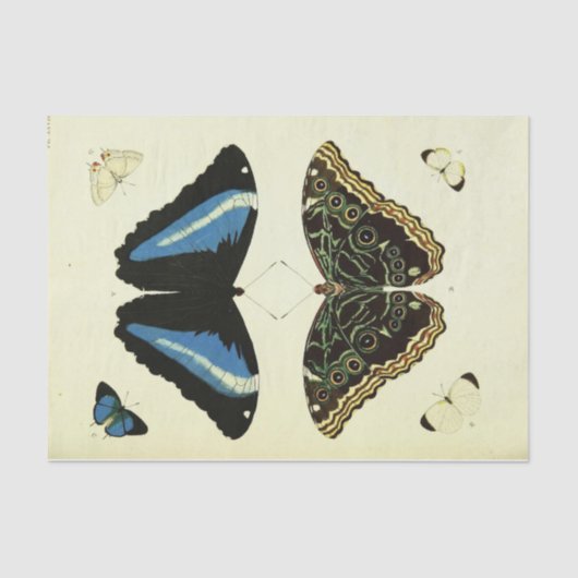 Vintages Blue Butterfly Ephemera Dekoupage Script Seidenpapier (Vorderseite)
